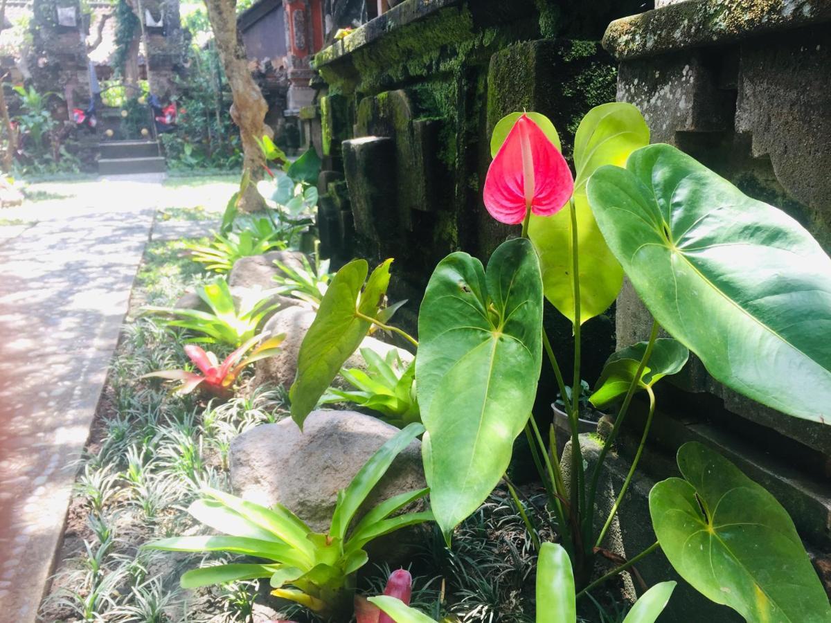 Tungeh Inn อูบุด ภายนอก รูปภาพ